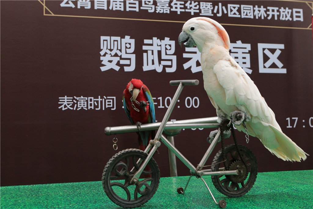 开元娱乐-上海久事训练开放日，赛前远射贴柱引欢呼，意大利杯在即，资深球员宣示担当(心得体会300字免费)